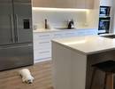 Galley 27